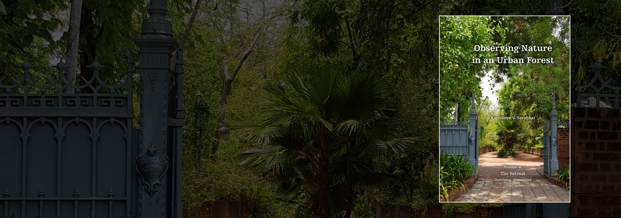 slider_img
