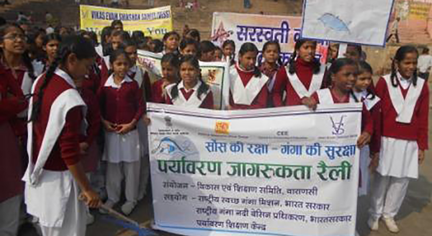 Dolphin awareness programme