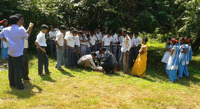 Dussera in Ratnagiri